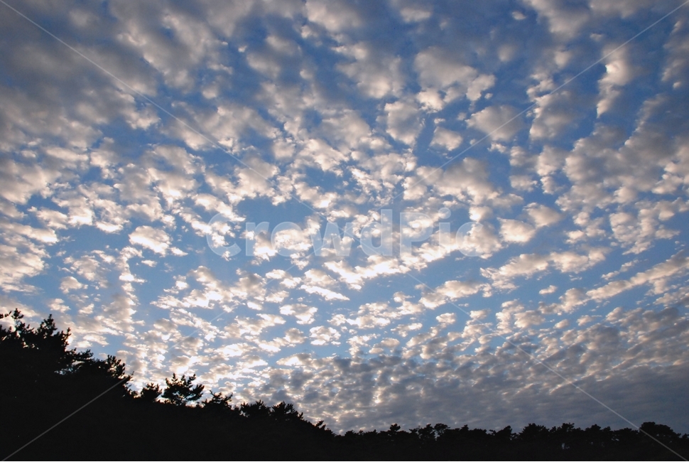 하늘,구름,맑음,뭉게구름,자연,자연,풍경,nature,landscape,outdoors,옥외,sky,cloud,weather,날씨,cumulus,적운