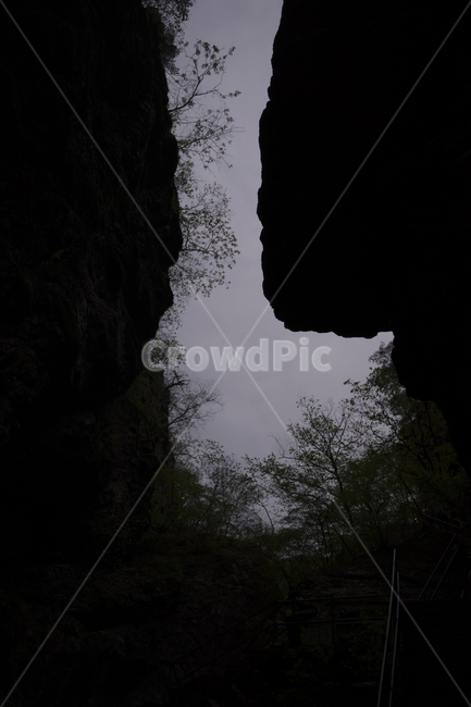 삼악산,산,등산,풀,봄