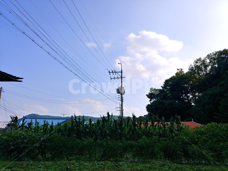 하늘,풀,나무,구름,자연,자연,풍경,nature,landscape,cable,케이블,power lines,전력선,electric transmission tower,송전탑