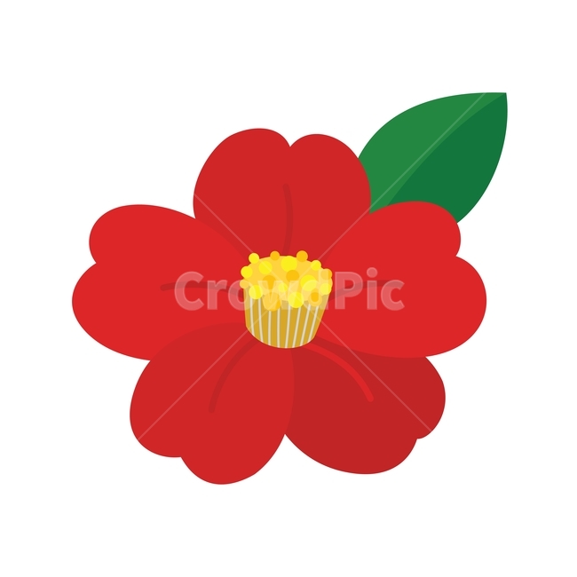 꽃,동백,동백꽃,잎,꽃잎,식물,새해,신년,겨울,빨강,일러스트,red,illustration,flower,leaf,blossom,petal,plant,design,vector,winter,그래픽,일러스트레이션,graphic,illustration
