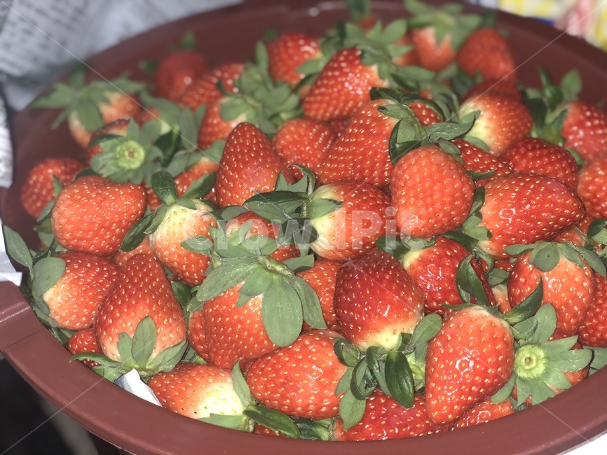 딸기,strawberry,빨간색,과일,red,과일,열매,fruit