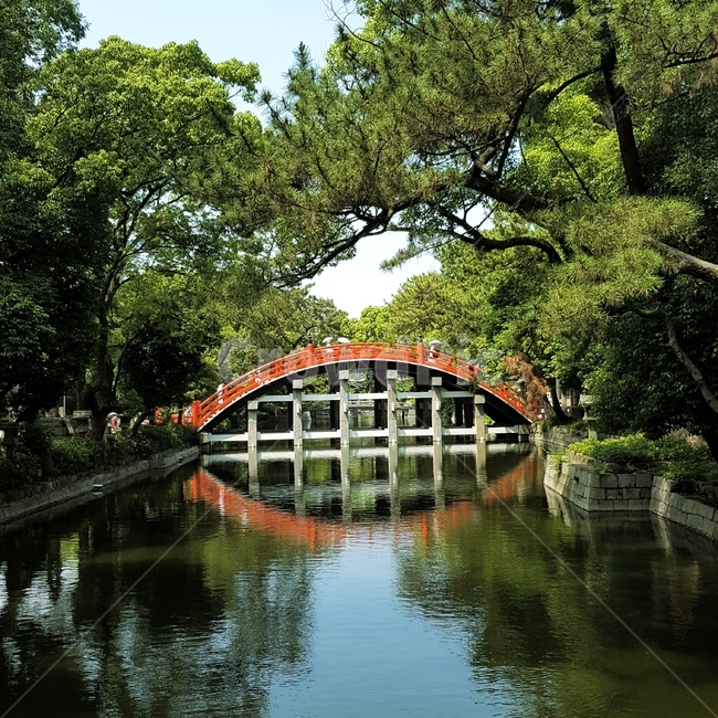 나무,다리,사원,신사,자연,경치,공원,푸름,자연,풍경,nature,landscape,식물,plants,나무,trees,wood