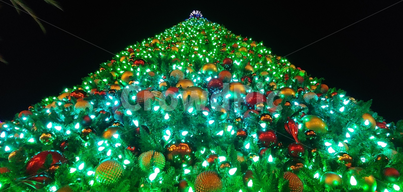 lighting,california,christmas,christmastree,조명,크리스마스,방울
