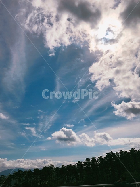하늘,구름,나무,자연,풍경,자연,풍경,nature,landscape,outdoors,옥외,sky,azure sky,푸른 하늘
