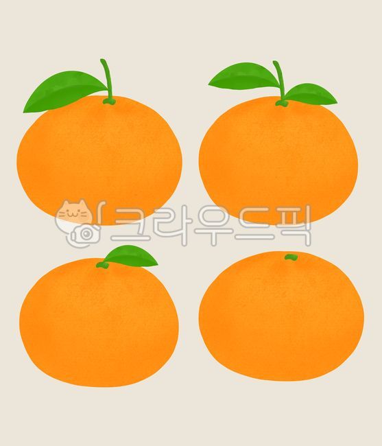 과일,과일일러스트,음식,음식일러스트,푸드일러스트,열매,비타민c,감귤,밀감,귤,제주특산물,제주특산품,특산품,특산물,제주감귤