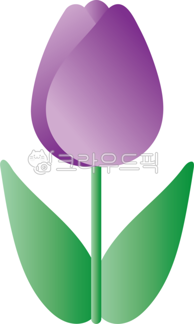 Tulip,nature,tulip,flower,spring,petal,plant,purple,illustration,decoration,graphic