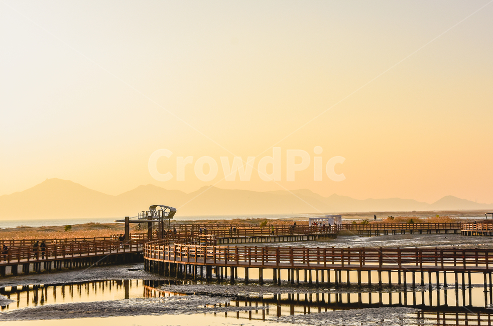 노을,다대포,전망대,일몰,일출,다대포해수욕장,부산,반영,다리,sunset,sunrise,감성,beach,따뜻함,갈대,해질녘,어스름,water,물,waterfront,워터프론트,dock,독,pier,교각,port,포트,자연,풍경,nature,landscape,워터 프론트