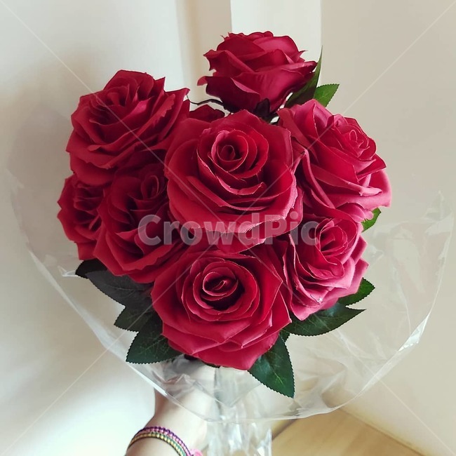 꽃,장미,조화,꽃다발,장미꽃다발,빨간장미,팔찌,식물,flower,rose,plant,red,빨간색,빨강