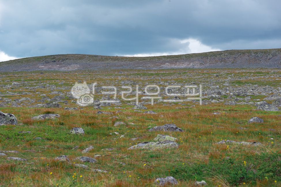Kungsleden,trekking,hiking,Nordic,landscape,summer,tundra,wilderness,mountains,meadow,wild,UNESCO,Laponia,Sweden,kungsleden,sweden,laponia,arctic,tundra,landscape,trekking,hiking,wilderness,nature,summer,scandinavian,lapland,mou