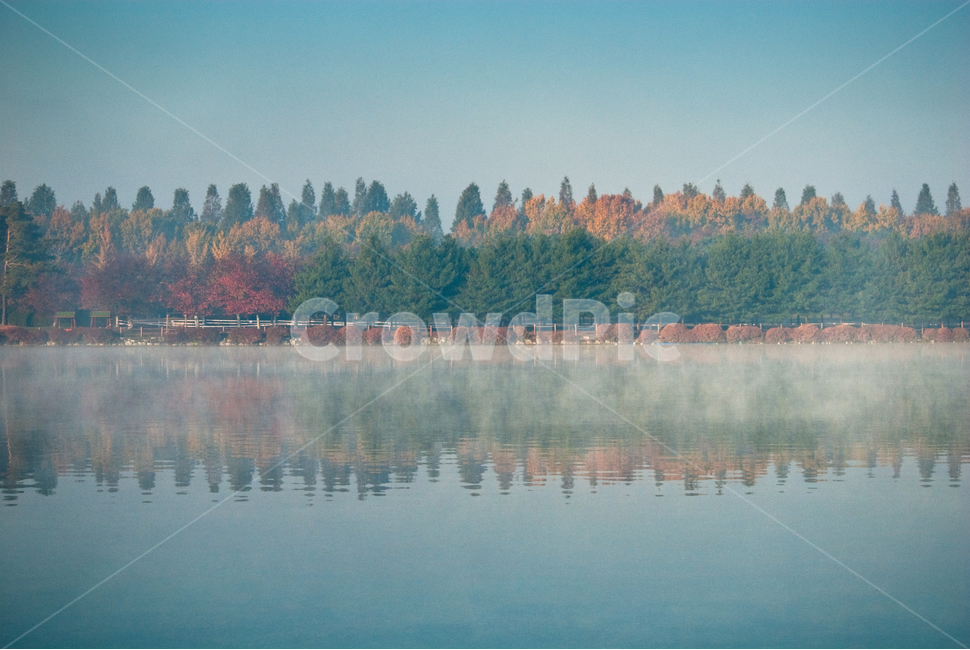 반영,호수,대칭,물안개,아침,nature,자연,outdoors,옥외,water,물,tree,나무,plant,식물
