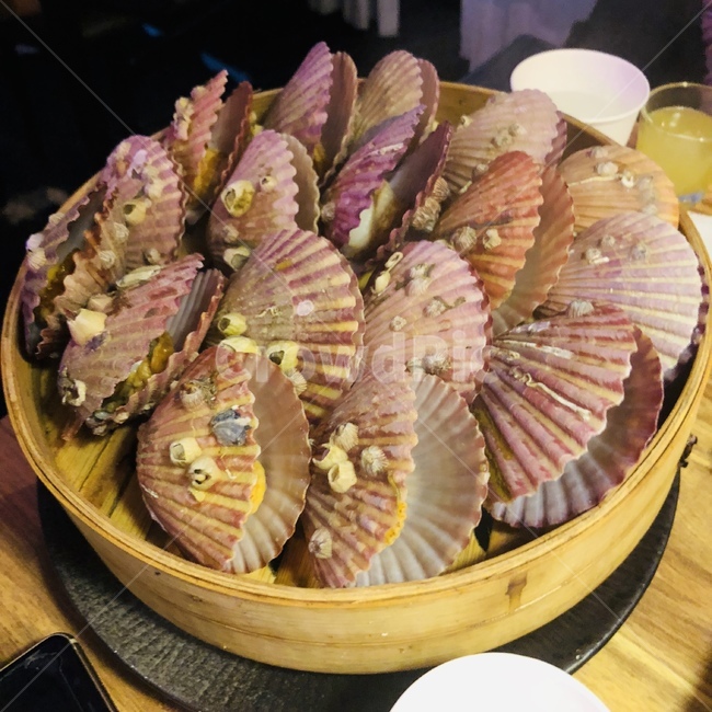 가리비,조개,음식,찜,가리비찜,음식,식재료,요리,food,cook,meal,dishes,food reserves,수산물,해산물,fishery products,seafood