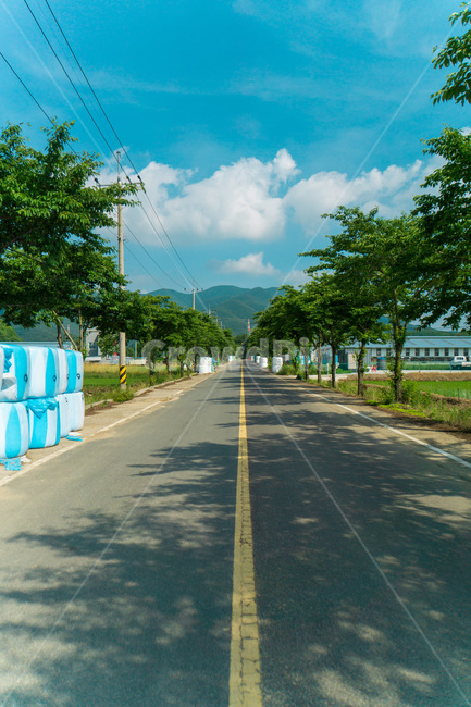 길,나무,하늘,시골길,농촌,구름,road,tree,sky,acountrylane,countryside,cloud