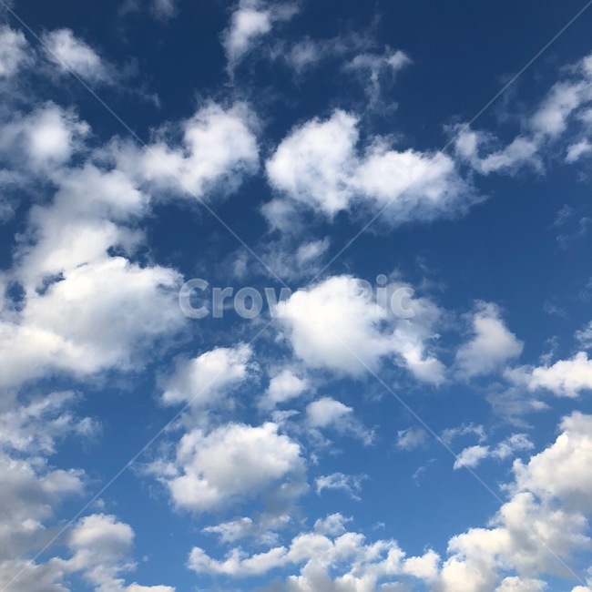 nature,자연,outdoors,옥외,sky,하늘,azuresky,푸른하늘