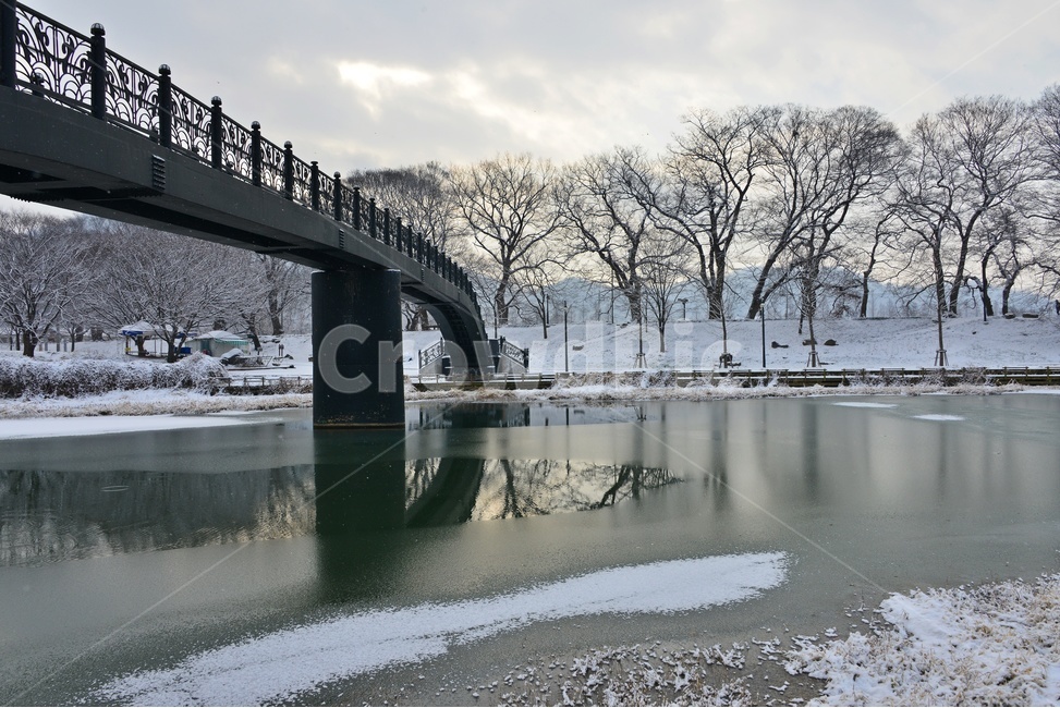 road,도로,bridge,다리,plant,식물,tree,나무,winter,겨울,blizzard,눈보라,nature,자연,outdoors,옥외,snow,눈,담양,관방천,관방제림,관방천설경,관방제림설경