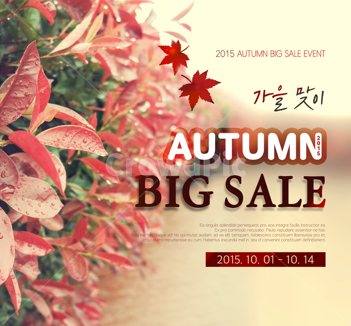 나뭇잎,단풍잎,가을,이벤트,팝업,가을,계절,fall,autumn,season,축제,행사,festival,carnival,event,쇼핑,shopping,그래픽,일러스트레이션,graphic,illustration,leaf,잎,plant,식물,advertisement,광고,poster,포스터
