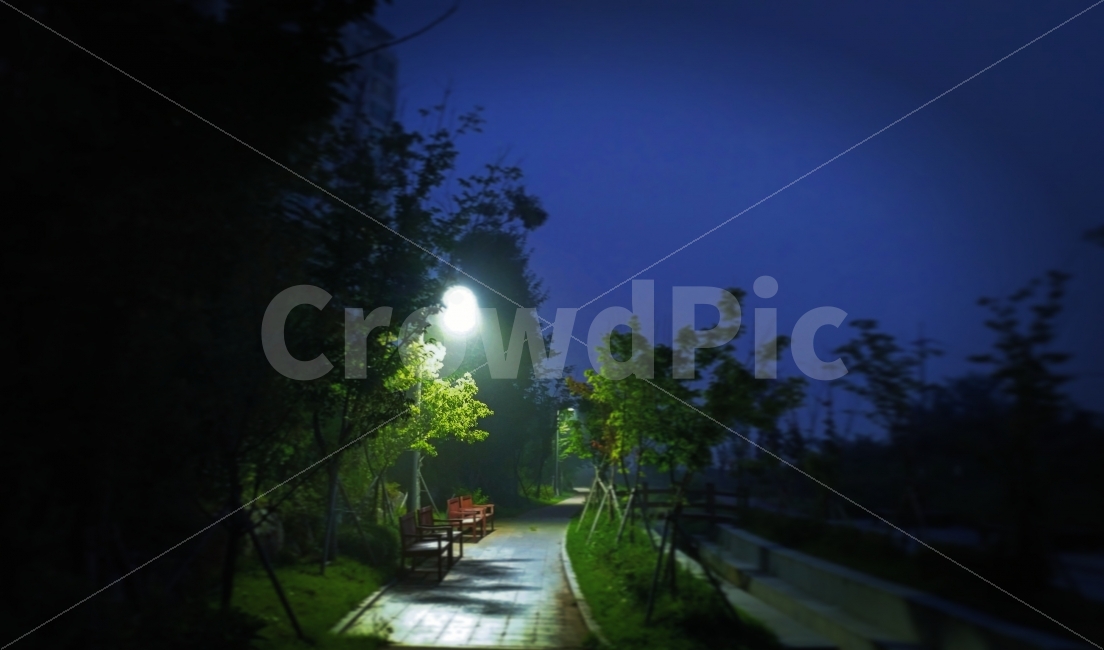 벤치,가로등,밤,새벽,고독,고요,숲길,자연,풍경,nature,landscape,야경,밤,nightscape,night,light,빛,flare,플레어,outdoors,옥외