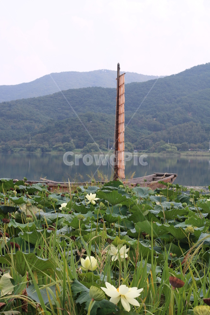 나룻배,나루터,두물머리,양수리,강,자연,nature,옥외,야외,outdoors,날씨