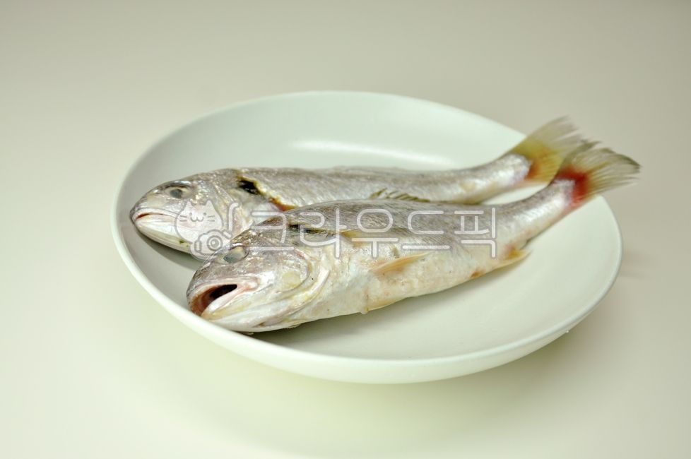조기, 어류, 생선, 해산물, 수산물, 사진,이미지,일러스트,캘리그라피 - 깨비선생작가