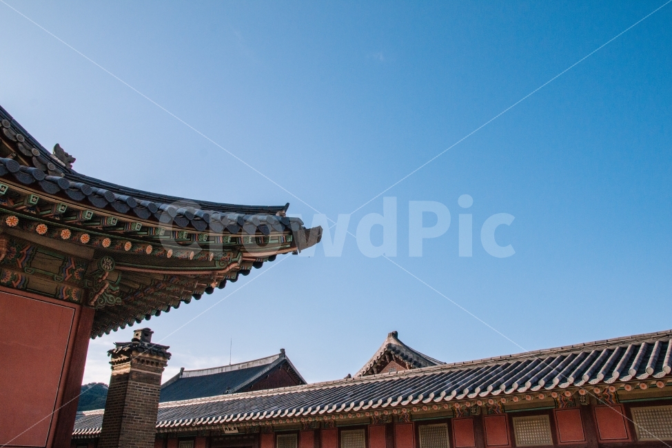 경복궁,기와,전통,궁궐,궁,서울,한국,한국적,처마,korea,seoul,koreatraditional,traditional,beautiful,palace,koreapalace,랜드마크,landmark,tourist attraction,한국전통,한국문화,korean traditional,korean culture