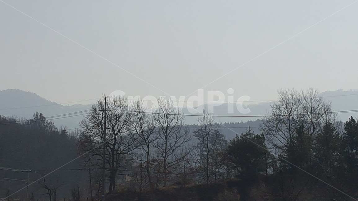 새펵,경치,안개,자면,고향,시골,자연,풍경,nature,landscape,weather,날씨,outdoors,옥외
