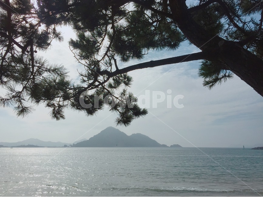 s,자연,nature,해안선,shoreline,바다,sea,물,water,나무,tree,섬,아늑함,선선함