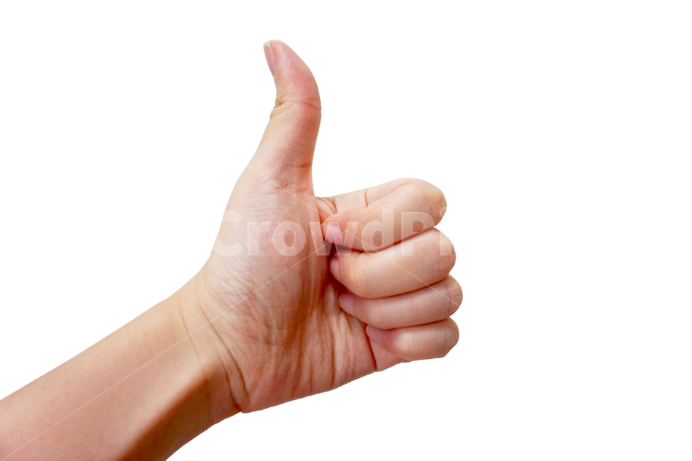 손,여자손,누끼,신체일부,제스처,손짓,표현,연출,콘셉,손누끼,사람,person,인간,human,엄지손가락,thumbsup,손가락,finger,좋은,멋진,hand,remove,removebackground,good,gesture,sign,팔,긍정,arm,손모양,손목,wrist,사람,인물,인간,human,person,신체일부,몸,body,감정표현,기분,feeling,emotion,누끼,remove background
