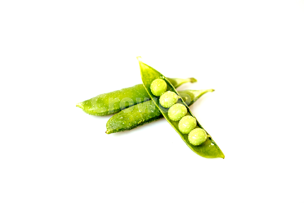 완두콩,콩,야채,채소,식물,열매,음식,디저트,웰빙,신선한,프레쉬,새콤한,달콤한,비타민,다이어트,건강,배경,백그라운드,아웃포커스,접사,근접,누끼,오브젝트,컨셉,음식,식재료,요리,food,cook,meal,dishes,food reserves,채소,야채,vegetables,누끼,remove background