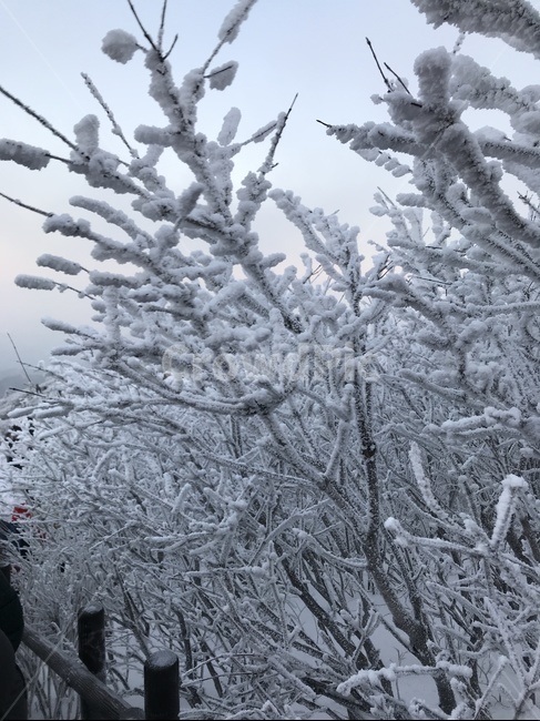 겨울산,등산,눈,나무,겨울풍경
