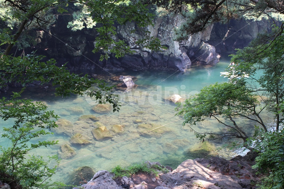 강,river,힐링,나무,tree,healing,바위,rock,풍경
