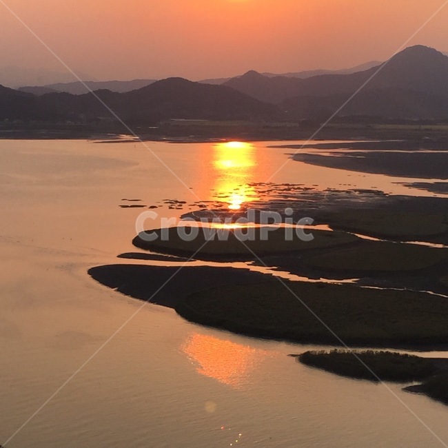 수목원,일몰시간,산책길,순천만정원,피크닉,돌담길,잔디밭,푸른나무,꽃,하늘,tree