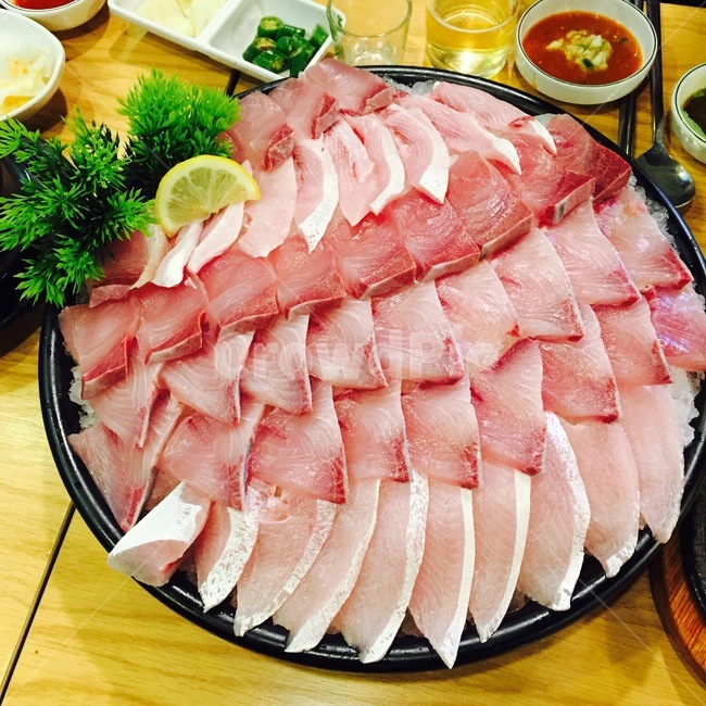 방어회,회,바다,일식,횟집,음식,선홍색,분홍색