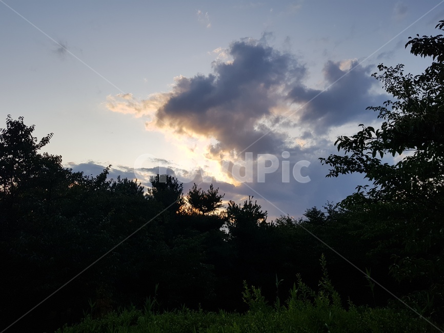 nature,자연,weather,outdoors,구름,나무