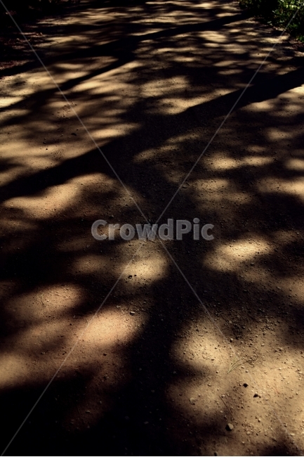통로,보도,흙길,그림자,빛,path,walkway,shadow,자연,풍경,nature,landscape