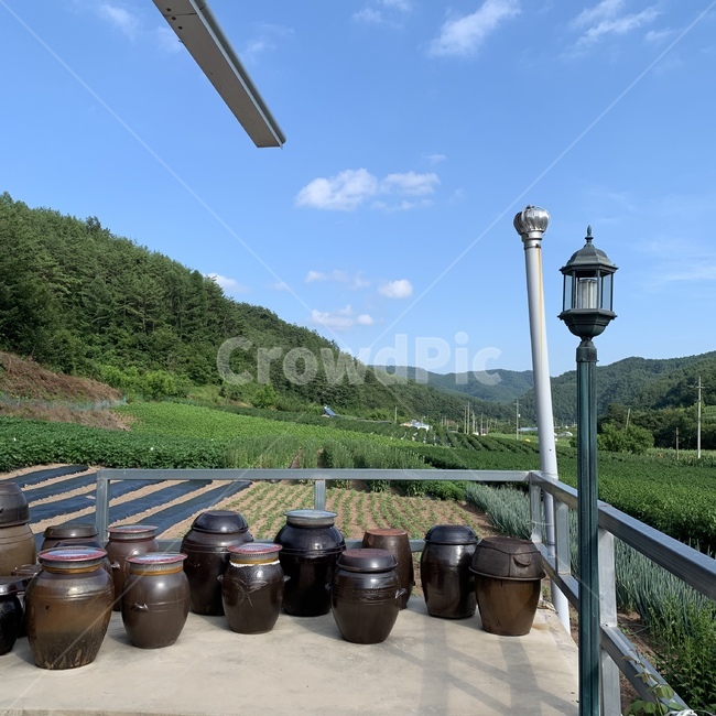 시골,맑음,하늘,공기,편안