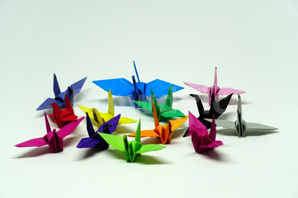 종이학,색종이,종이접기,연출,연출사진,누끼,누끼사진,사물,물건,object,공작,동물,animal,조류,새,bird,짝사랑,첫사랑,그리움,소원,감성,감성사진,힐링,힐링사진,느낌,분위기,간절함,간절한,애타는,마음,희망,사물,물건,오브젝트,thing,object,matter,연출,컨셉,콘셉,direction,concept,누끼,remove background