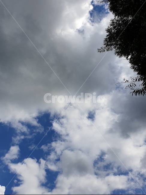 하늘,구름,cloud,sky,풍경