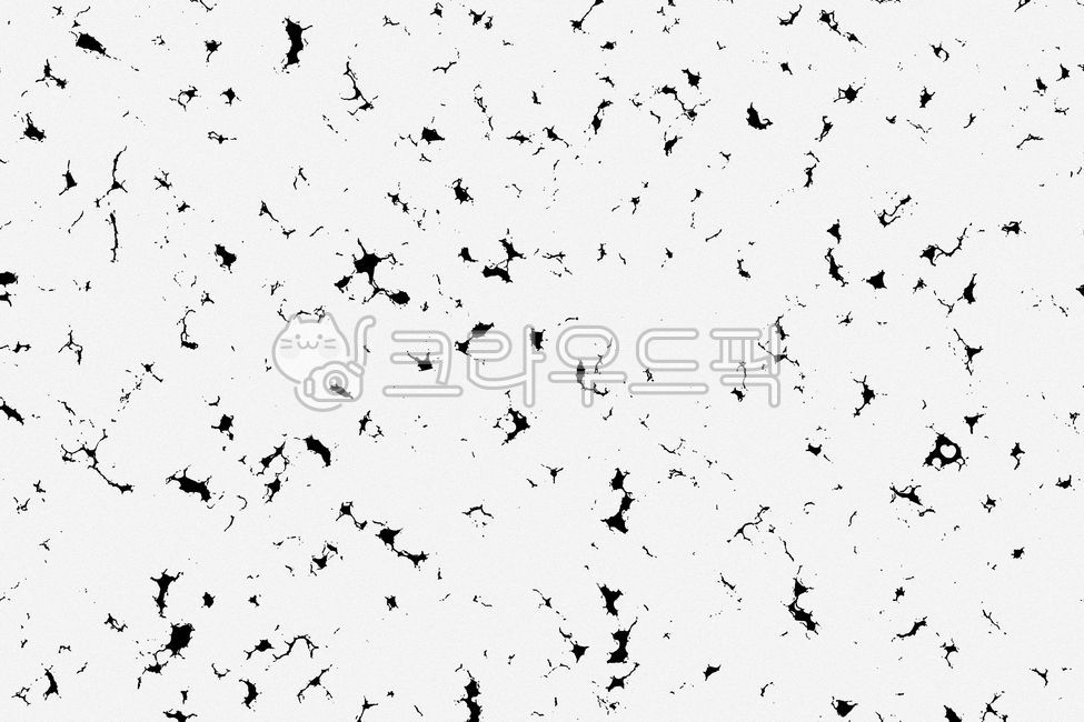 종이,배경지,재질,배경,구겨짐,구김,백그라운드,종이질감,소스,텍스쳐,paper,white,흰배경,화이트,종이질감배경,하얀배경,종이배경,흰종이배경,background,페이퍼,텍스처,질감,패턴,바탕,pattern,texture,조직