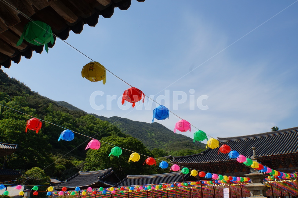 연등축제,부처님오신날,절,사찰,연꽃,소원,buddhisttemple