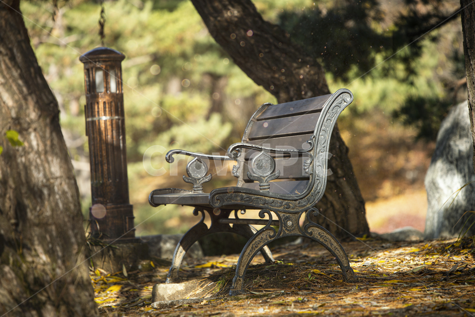 휴식,오후,힐링,벤치,bench,가구,furniture,공원