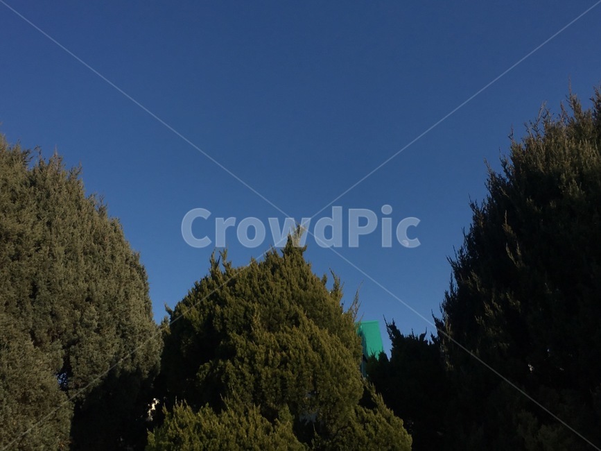 노을,주황,감성,일상,자연,휴식,sky,red,구름,저녁,색감,blue,파랑,파란색,초록,고요,無