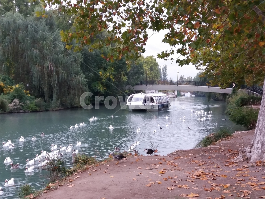 스페인,아란후에즈,타호강,오리,유람선,강,유럽,spain,aranjuez,tajo,river,야외,자연,낮시간,crusie,pleasure,boat,outdoor,daytime,물,water,보트
