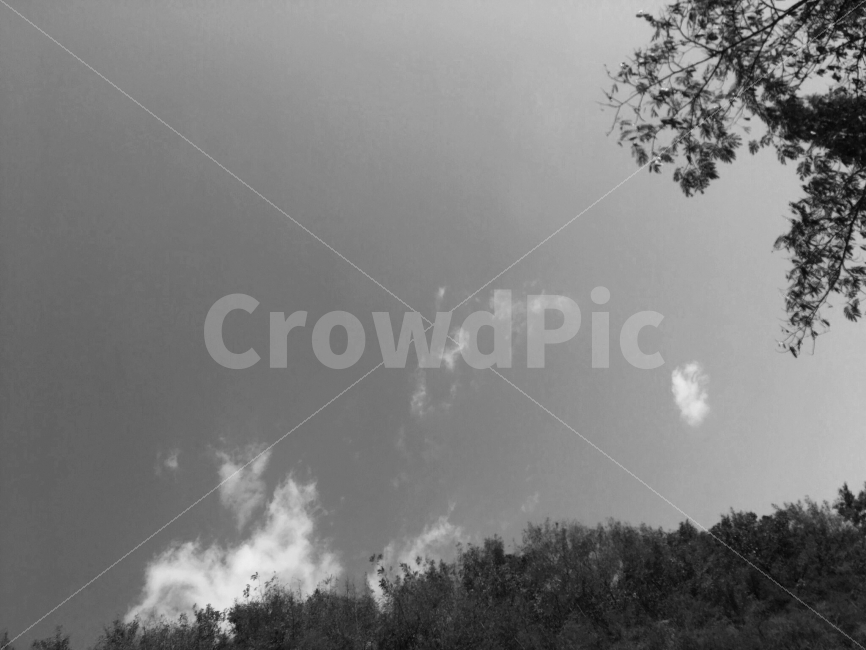 배경화면,바탕화면,흑백사진,흑백,구름,하늘,나무,자연,Black,Blackandwhite,White,Tree,Cloud,Sky,자연,풍경,nature,landscape,흑백,모노톤,monochrome,black and white,weather,날씨