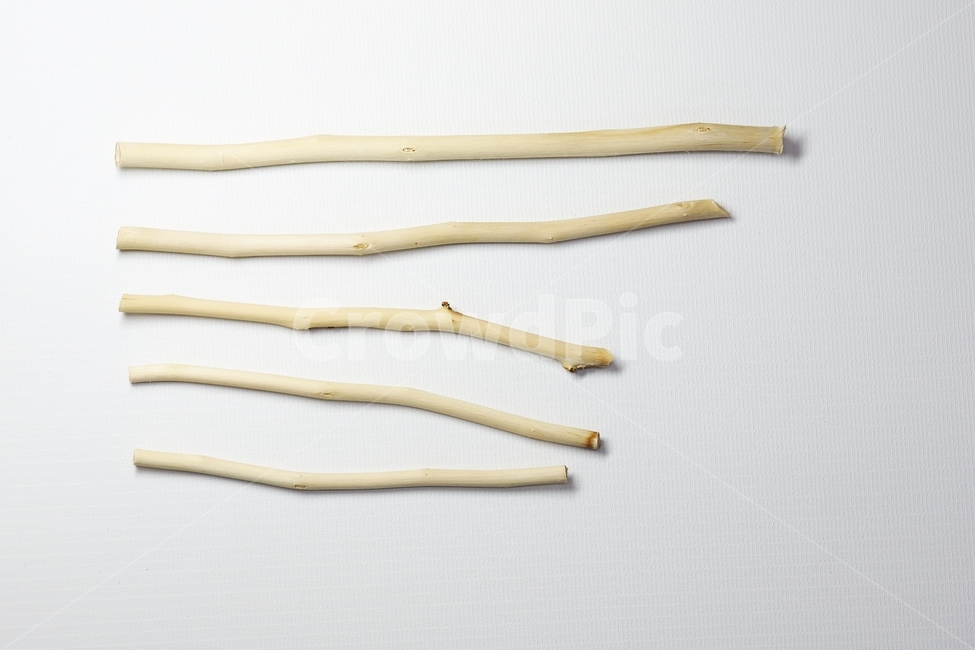 공예재료,장식재료,나무,뽕나무,trees,mulberrytrees,wood,craftmaterials,decorativematerials