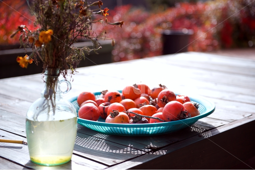 plant,식물,persimmon,감,과일,fruit,food,홍시,가을,열매,가을,계절,fall,autumn,season,음식,식재료,요리,food,cook,meal,dishes,food reserves,과일,열매,fruit