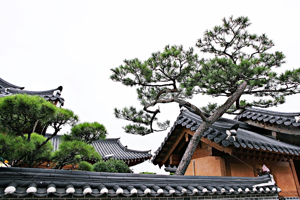 도솔미술관,미술관,한옥,한옥집,전통집,기와집,집,풍경,자연,나무,식물