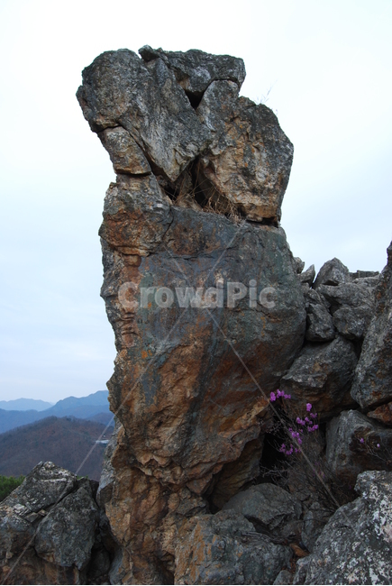 팔봉산,바위,야생화,한국명산,봄,자연,풍경,nature,landscape,한국자연풍경,한국자연경관,korea nature landscape,cliff,낭떠러지,outdoors,옥외