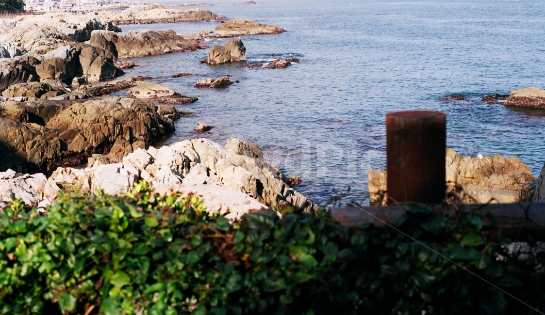 풍경,경치,바다,부산,용궁사,필름사진,필름,감성사진,분위기,자연,풍경,nature,landscape,한국자연풍경,한국자연경관,korea nature landscape,promontory,곶