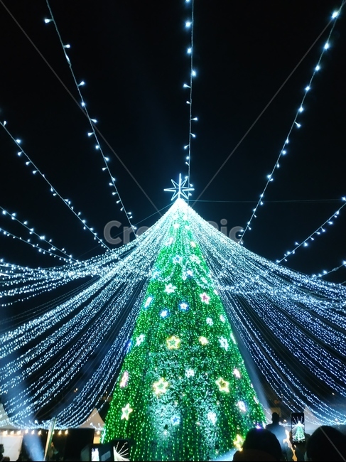 ornament,장식,겨울,트리,전구,성탄절,크리스마스,불빛,메리크리스마스,성탄절,merry christmas