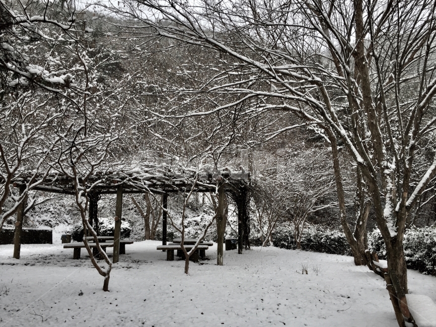 눈,겨울,풍경,공원,전망,나무,눈내린날,겨울,계절,winter,season,자연,풍경,nature,landscape,식물,plants,나무,trees,wood,outdoors,옥외