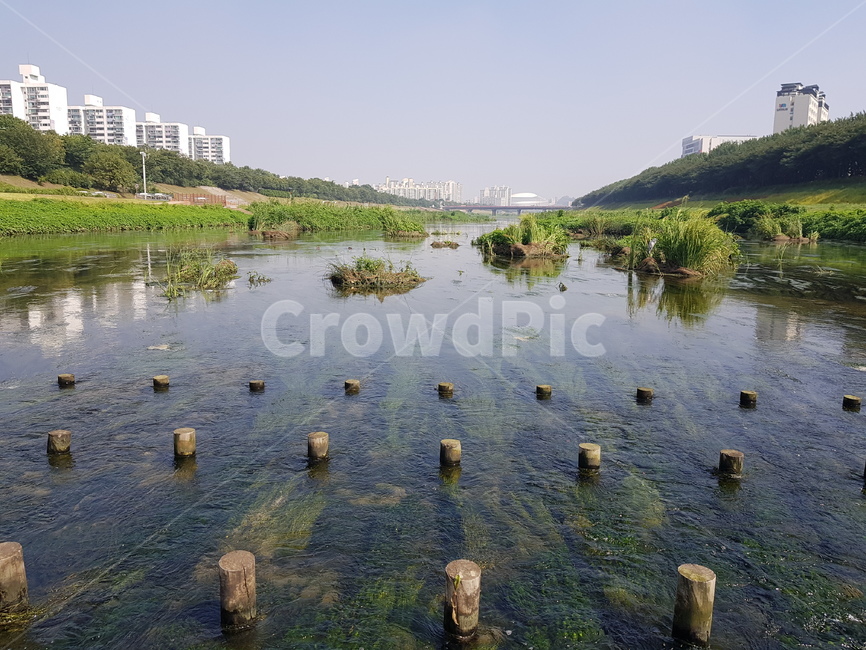 개울,개천,강,자연,nature,outdoors,water,물,옥외,냇가,stream,creak